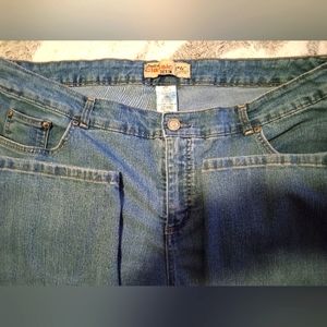 Women's plus size 22 classic denim blue jeans